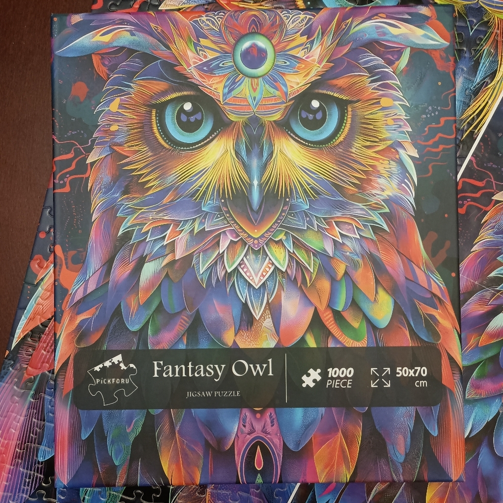 3/$10 🌟 Colorful Fantasy Owl 1000 Piece Jigsaw Puzzle